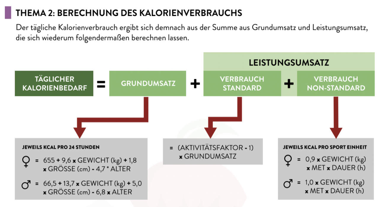 Grundumsatz Berechnen Harris Benedict Formel rezeptrechner-online.de